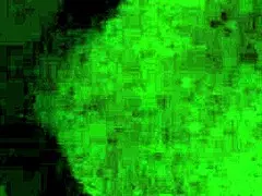 why does this latina hottie crave monster cock in her hotel room?!