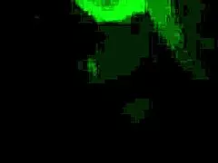 you like this bbw light skin wife riding cock xmas?