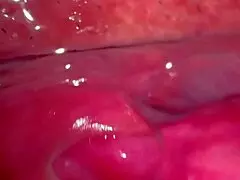 amateur asian wife licks shaved pink pussy close up 227 days post virginity loss wet cunilingus fun