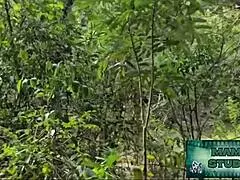 Mama Studio Outdoor Walk Turns Wild Latina Milf Creampie Frenzy