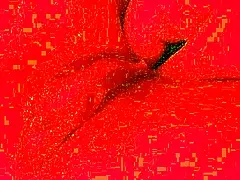 Monika Fox takes huge dildo anal fisting prolapse pov with sloppy blowjob 😈💦