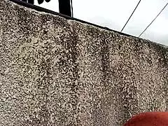 wanna taste my neighbor milf's juicy calzones while she fingers her wet pussy for you?