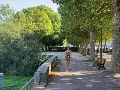 beautiful french brunette sneaks under club desk for first time homemade blowjob dancing night