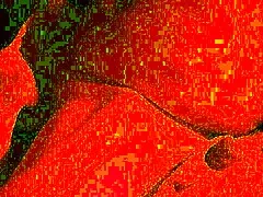 omg this cum hungry bbw milf swallows every drop in amateur close-up deepthroat blowjob