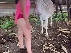 Mature women ride shared donkey