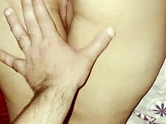 रेस्तरां