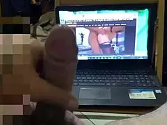 stella still's fan tribute collection